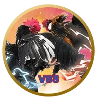 V88