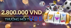 V88