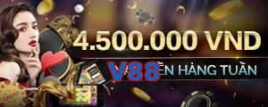 V88