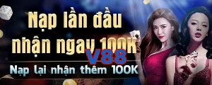 V88